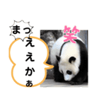 たけしのスタンプ  その31（個別スタンプ：18）