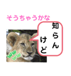 たけしのスタンプ  その31（個別スタンプ：19）