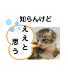 たけしのスタンプ  その31（個別スタンプ：20）