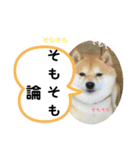 たけしのスタンプ  その31（個別スタンプ：21）