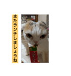スコタンとお買い物（個別スタンプ：3）
