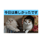 スコタンとお買い物（個別スタンプ：5）