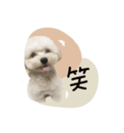 ♡miki様（個別スタンプ：1）