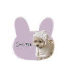 ♡miki様（個別スタンプ：5）