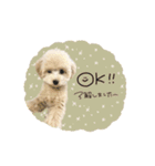 ♡miki様（個別スタンプ：8）