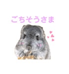 シロンちゃんfamily♡（個別スタンプ：10）