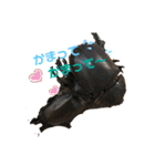 カブトムシ01（個別スタンプ：3）