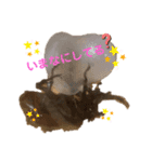 カブトムシ01（個別スタンプ：4）