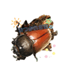 カブトムシ01（個別スタンプ：7）