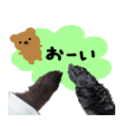 ちょこポメちゃん（個別スタンプ：5）