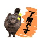 ちょこポメちゃん（個別スタンプ：32）