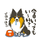 ふわふわ三毛犬（個別スタンプ：3）