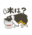 ふわふわ三毛犬（個別スタンプ：4）