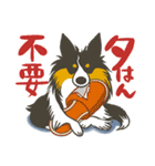 ふわふわ三毛犬（個別スタンプ：16）