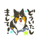 ふわふわ三毛犬（個別スタンプ：24）