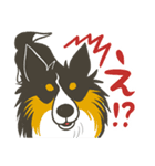 ふわふわ三毛犬（個別スタンプ：27）