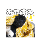 あずきの挨拶スタンプ✿︎（個別スタンプ：2）