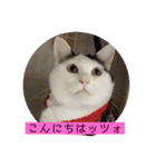 雨汐スタンプ（個別スタンプ：2）