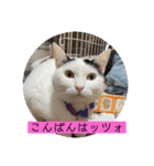 雨汐スタンプ（個別スタンプ：3）