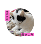 雨汐スタンプ（個別スタンプ：4）