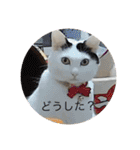 雨汐スタンプ（個別スタンプ：5）