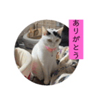 雨汐スタンプ（個別スタンプ：7）