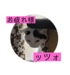 雨汐スタンプ（個別スタンプ：9）