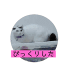 雨汐スタンプ（個別スタンプ：10）
