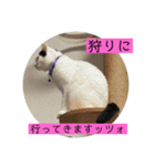 雨汐スタンプ（個別スタンプ：11）