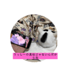 雨汐スタンプ（個別スタンプ：12）
