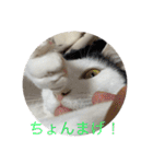 雨汐スタンプ（個別スタンプ：16）
