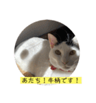 雨汐スタンプ（個別スタンプ：17）