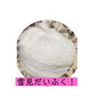 雨汐スタンプ（個別スタンプ：19）