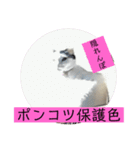 雨汐スタンプ（個別スタンプ：26）
