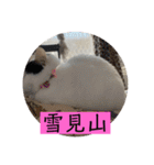 雨汐スタンプ（個別スタンプ：34）