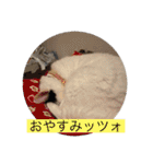 雨汐スタンプ（個別スタンプ：40）