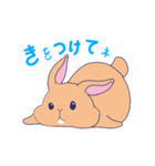 二羽のうさぎ（個別スタンプ：32）