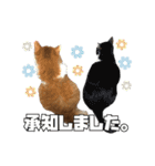 茶太郎スタンプ〜たまにあずき〜（個別スタンプ：27）