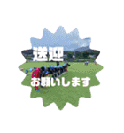 NEXUS.FC（個別スタンプ：12）