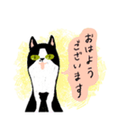 丁寧なねこさん（個別スタンプ：1）