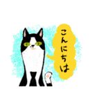 丁寧なねこさん（個別スタンプ：2）