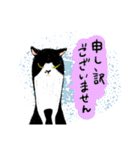 丁寧なねこさん（個別スタンプ：11）