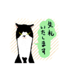 丁寧なねこさん（個別スタンプ：15）