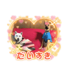 紀州犬ユキちゃんありがとう♡（個別スタンプ：21）