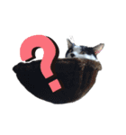 ねろねこ（個別スタンプ：2）