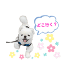 もふまふordinary（個別スタンプ：13）