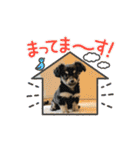 ごきげんルルンプ ver.2（個別スタンプ：25）