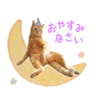 茶トラ 猫 あいさつ スタンプ（個別スタンプ：9）