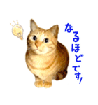 茶トラ 猫 あいさつ スタンプ（個別スタンプ：23）