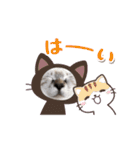 保護猫マロン好日スタンプ9（個別スタンプ：2）